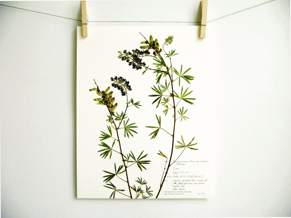 plant art
